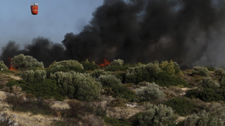 Φωτιά στην Αμαλιάδα – Εκκενώνεται χωριό